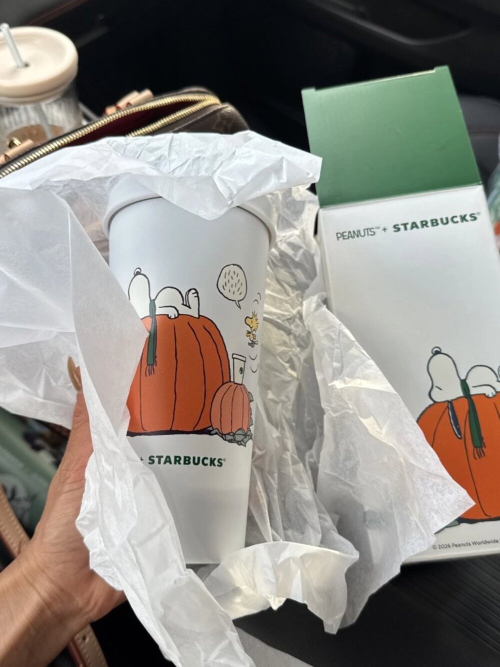 NWT! Starbucks Peanuts Snoopy Great Pumpkin Stainless Tumbler 16 oz